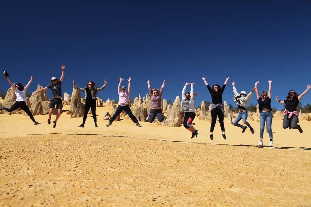 Wildlife Tours Australia: 1 Day Pinnacles Desert Lobster Tour