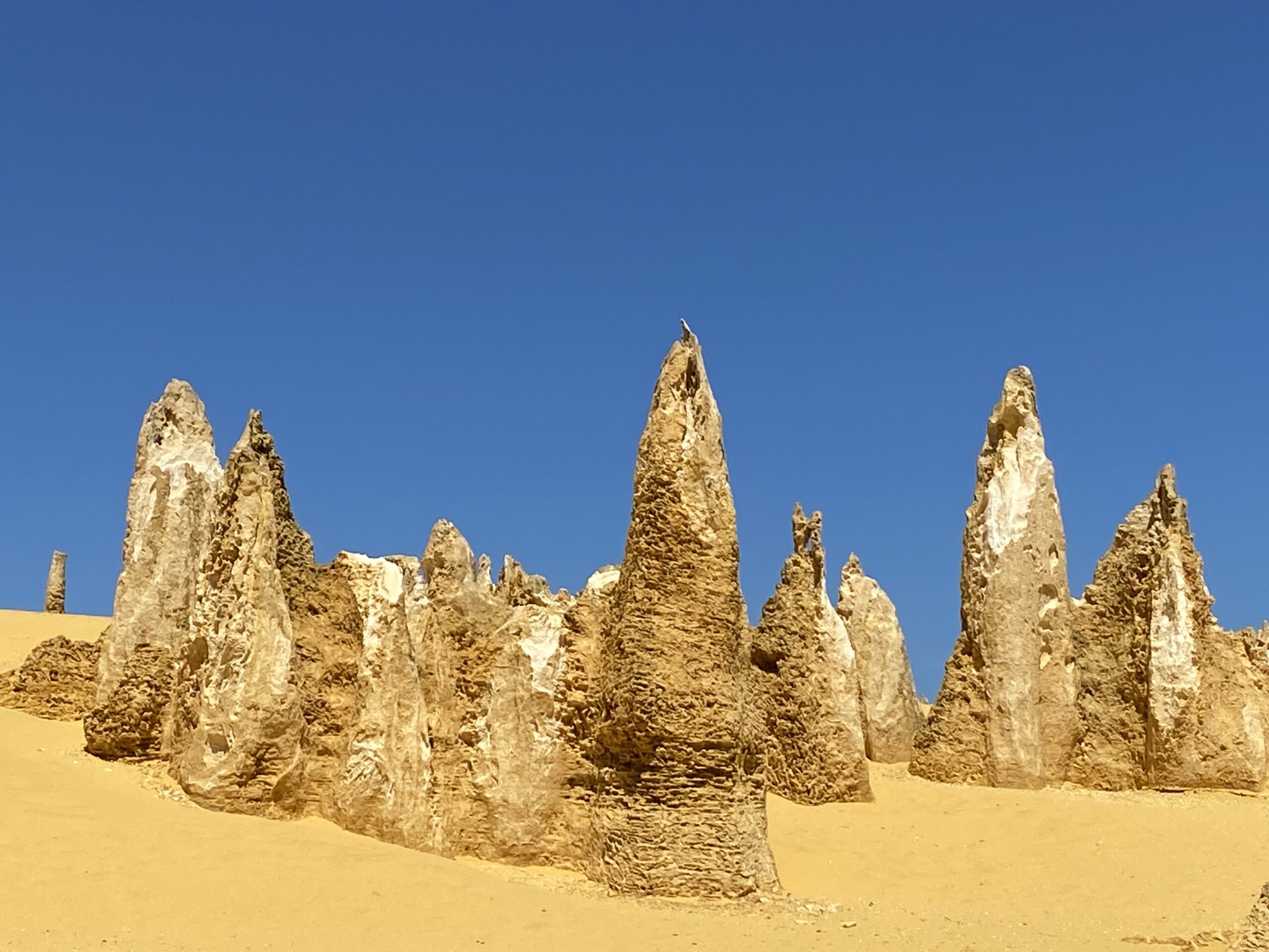 Pinnacles Day Tour