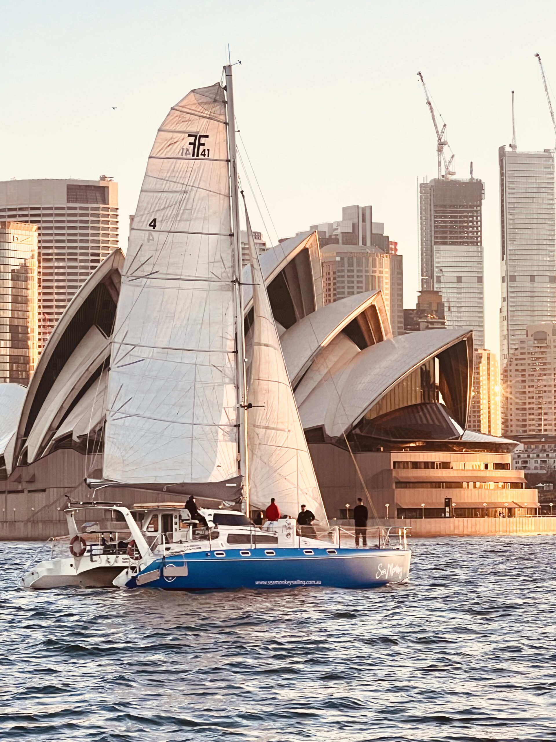 Whales and Sails a half day sailing and Whale Watching Tour