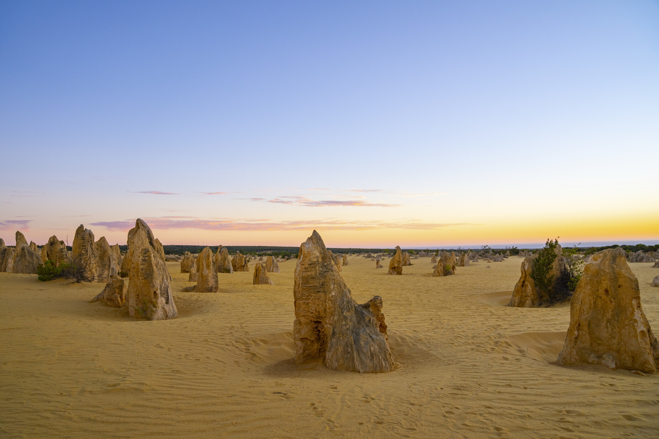 Wildlife Tours Australia: 1 Day Pinnacles Sunset Stargazing Telescope Tour