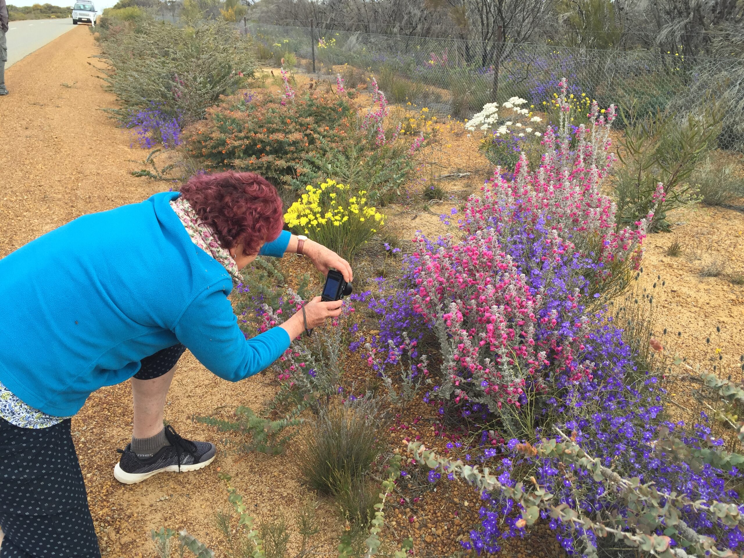 Four Day Northern Wildflower Tour