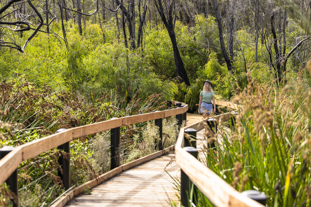 Wildlife Tours Australia: 1 Day Pinnacles Desert Lobster Tour