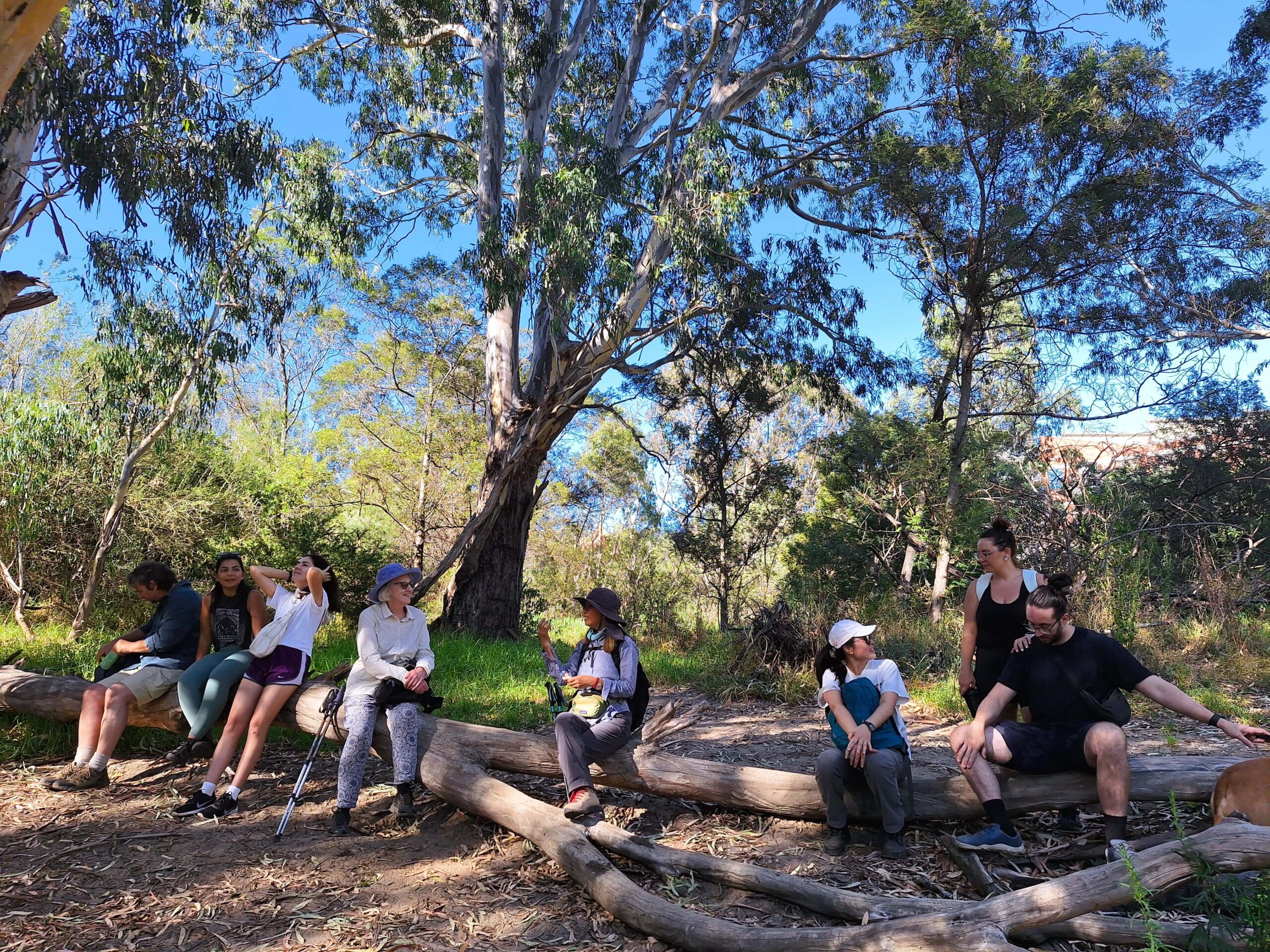 Melbourne Tour: Walk the Yarra to the Heritage Abbotsford Convent