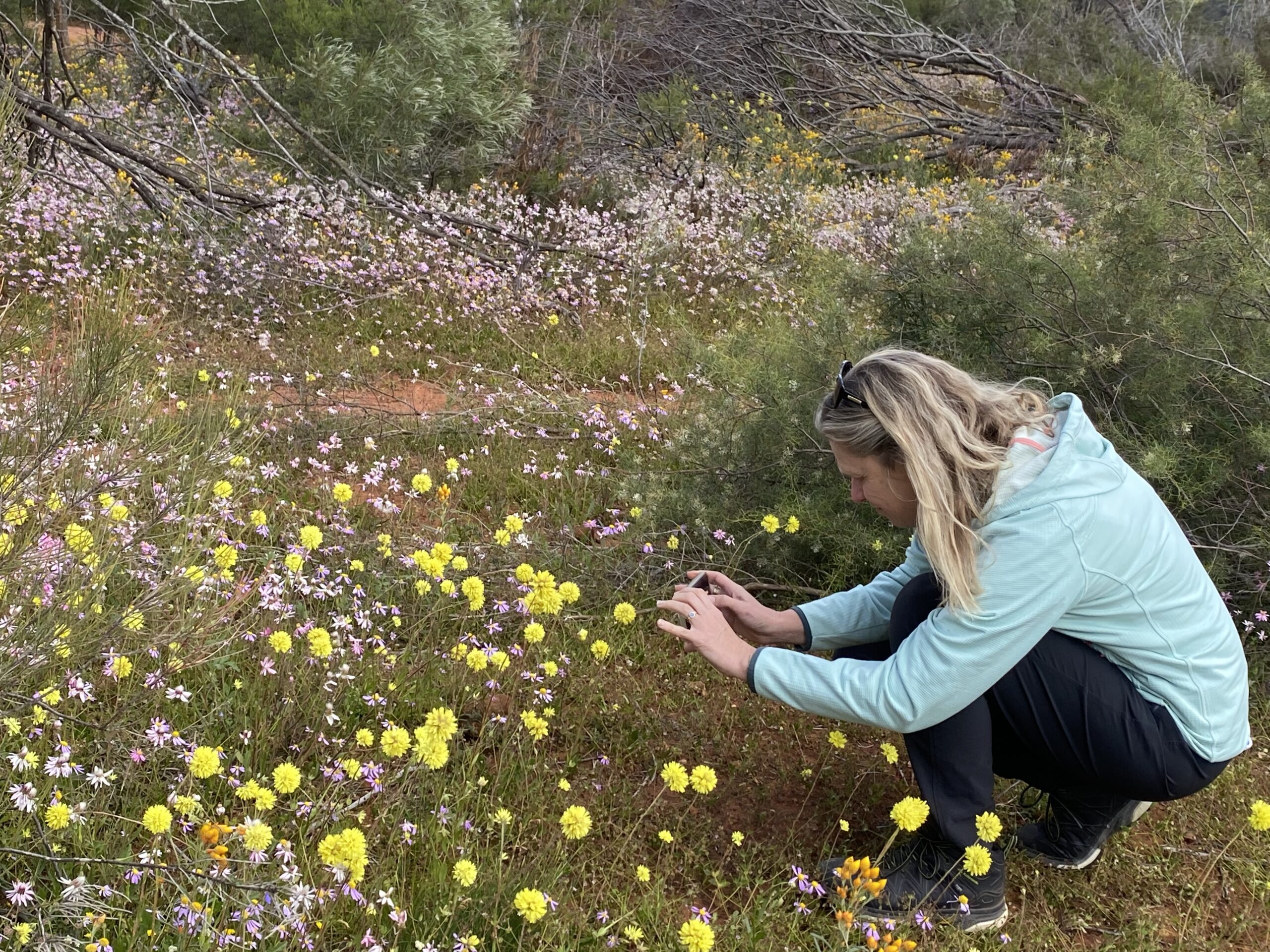 Four Day Northern Wildflower Tour