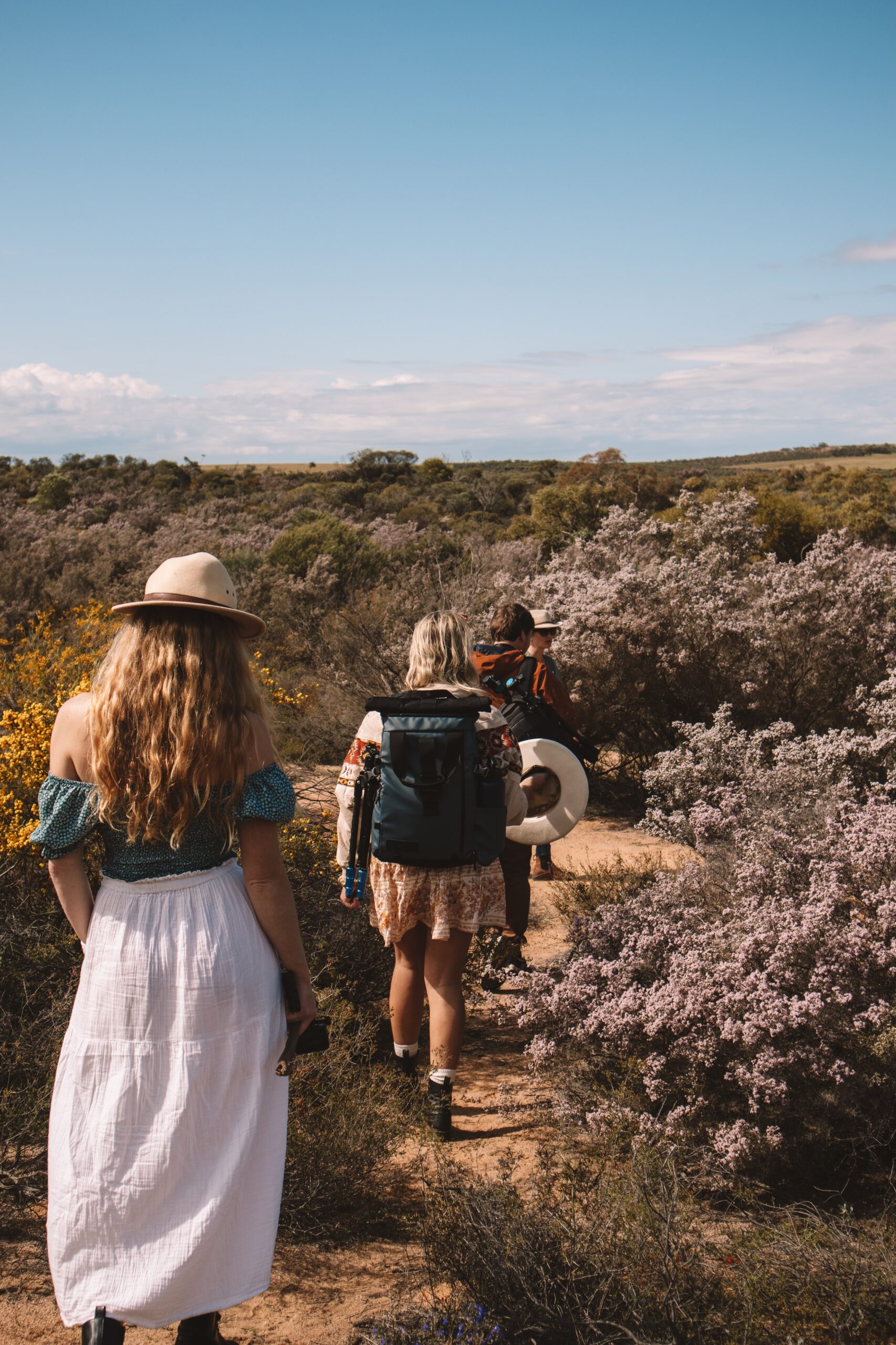Half Day Wildflower Snapshot Tour