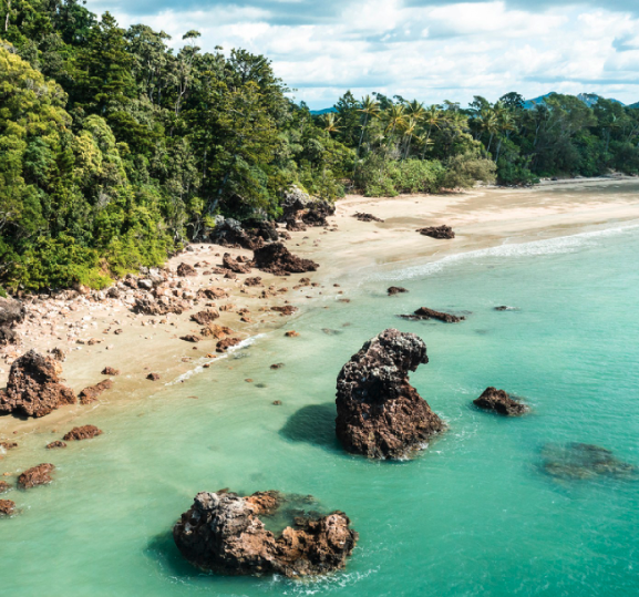 Kangaroos on the Beach Full-Day Private Tour Departing Mackay