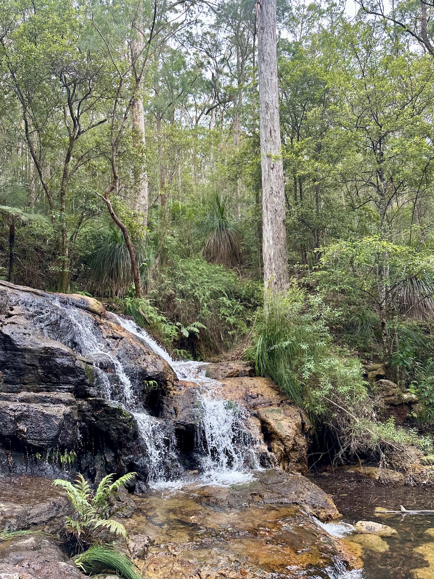 Waterfall Adventurer