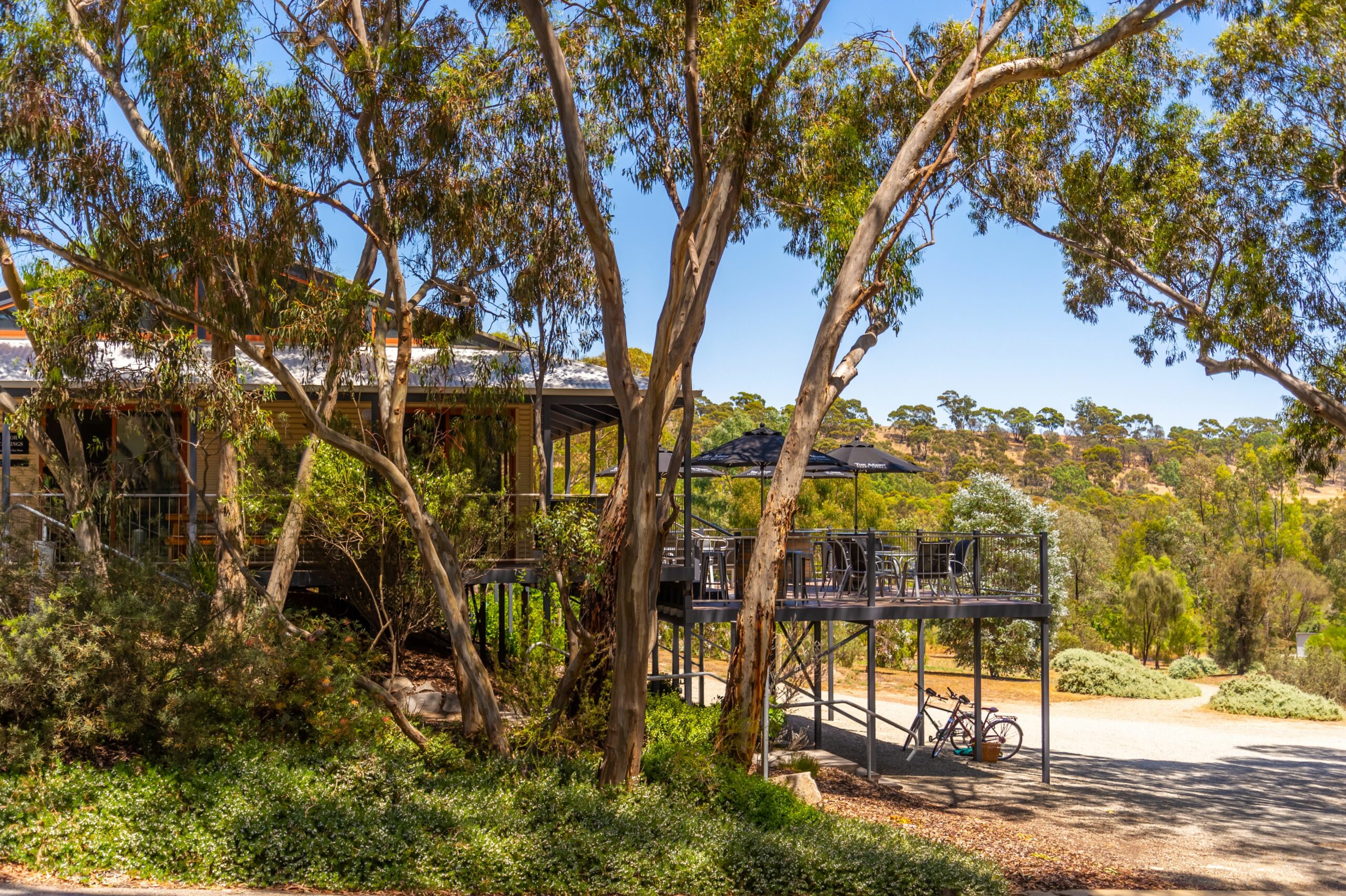 Vineyard to Glass: An Exclusive Clare Valley Wine Journey