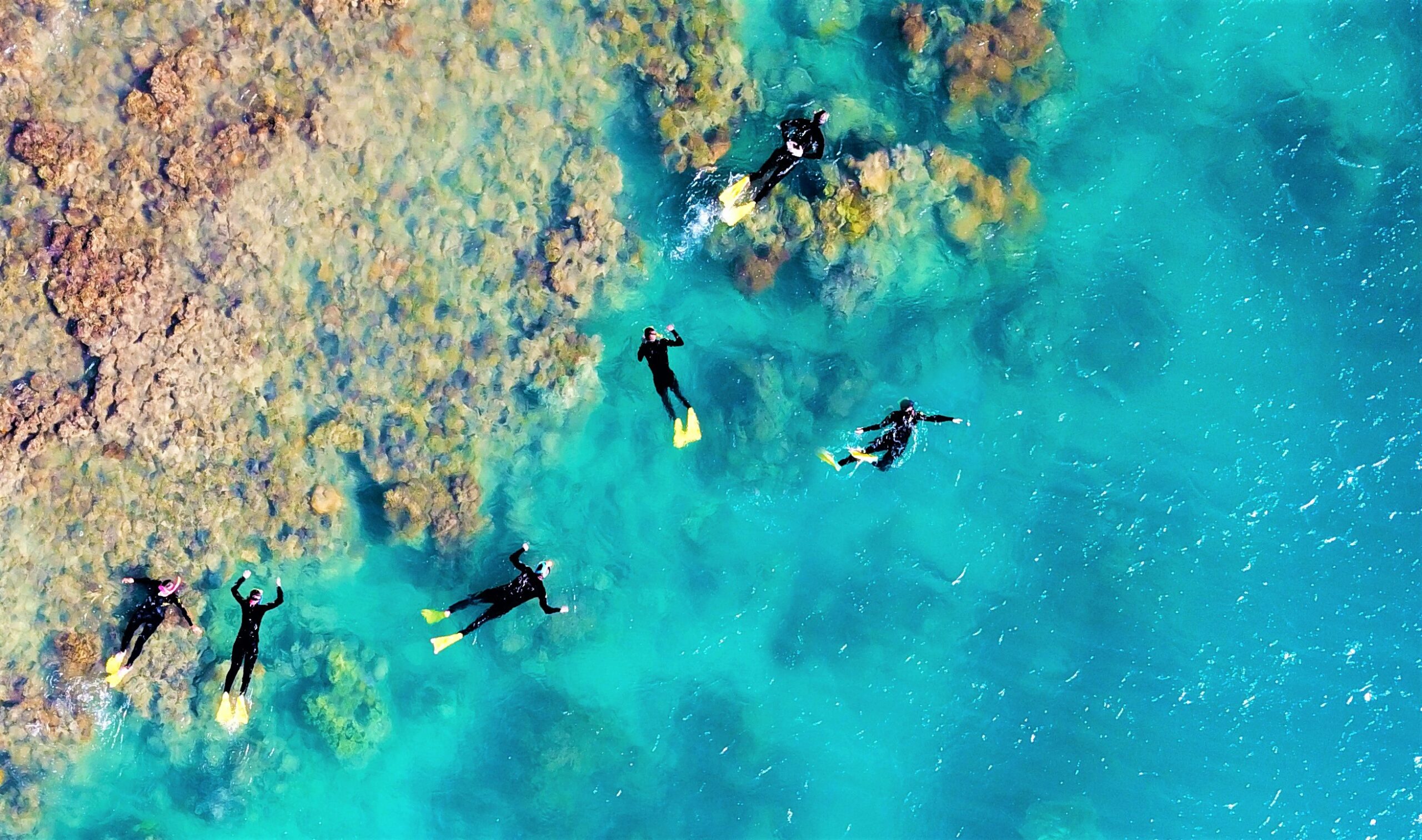 Reef & Beach Snorkelling – Whitehaven Beach Club