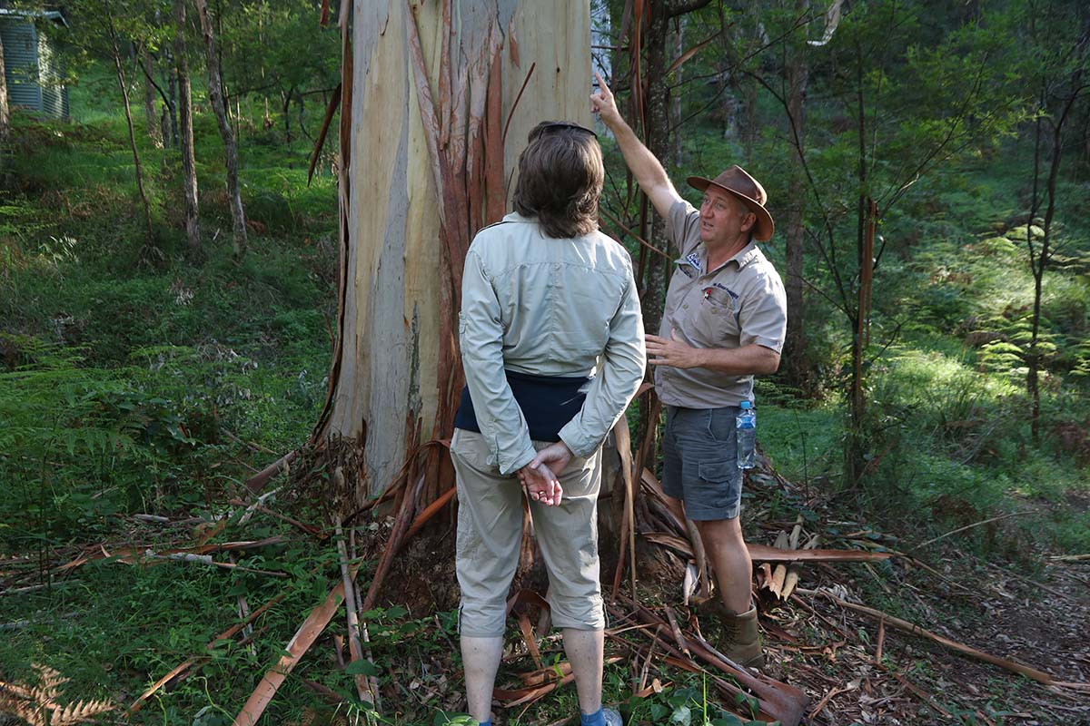 Blue Mountains Private Tour run by locals