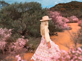 Best of the Mid West Full Day Wildflower Tour