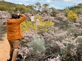 Half Day Wildflower Snapshot Tour