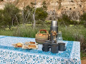 Half Day Wildflower Snapshot Tour