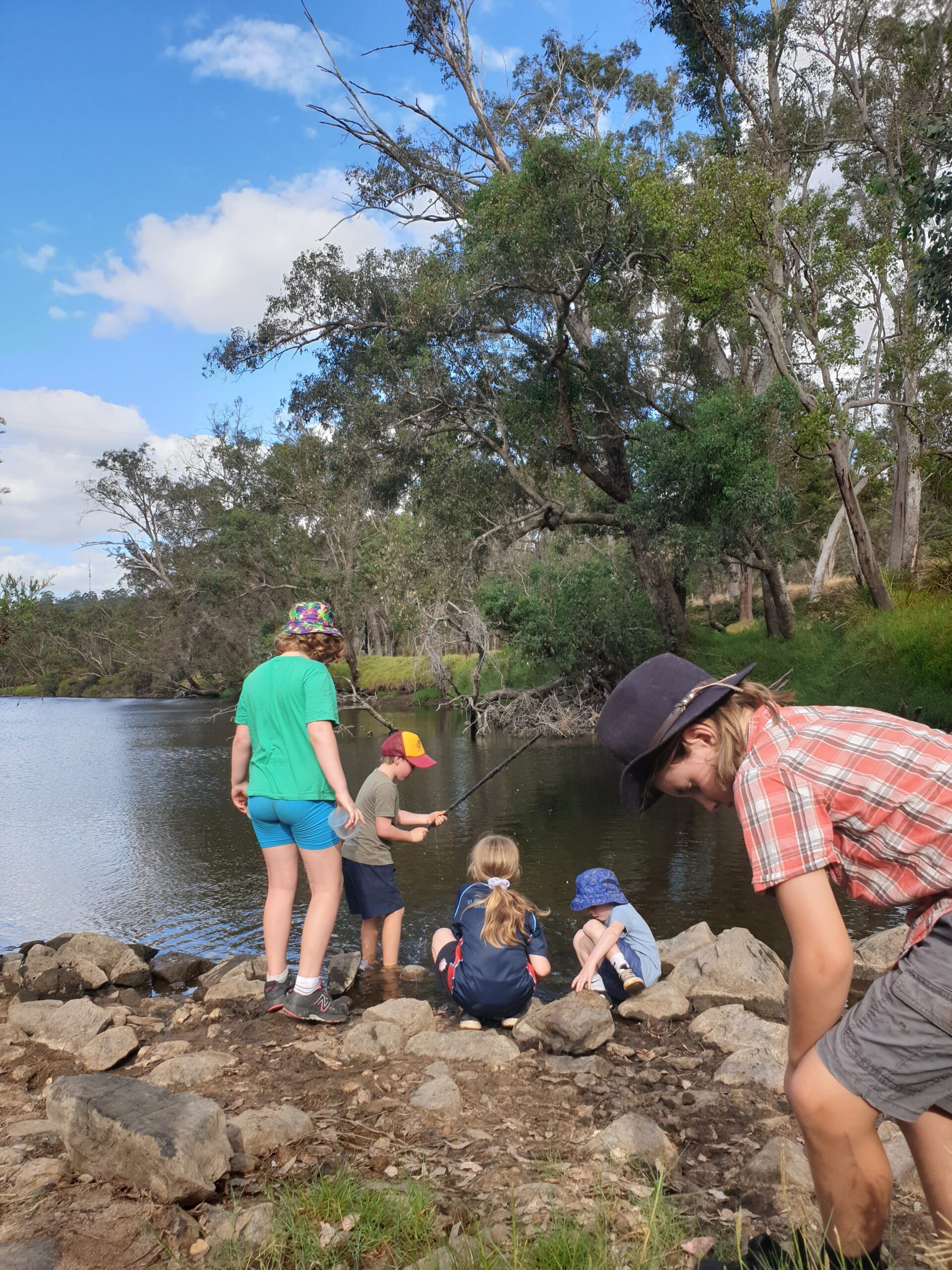 Bridgetown Forest Adventure Drop-Off (Parents' Escape!)