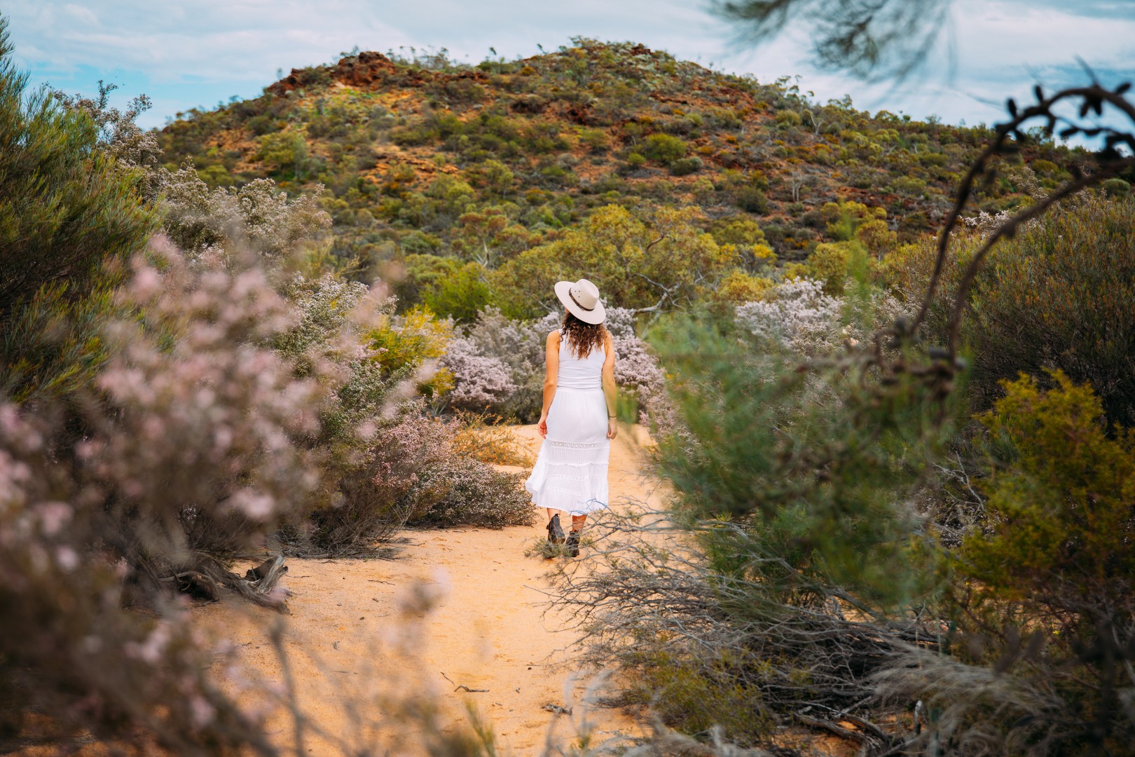 Half Day Wildflower Snapshot Tour