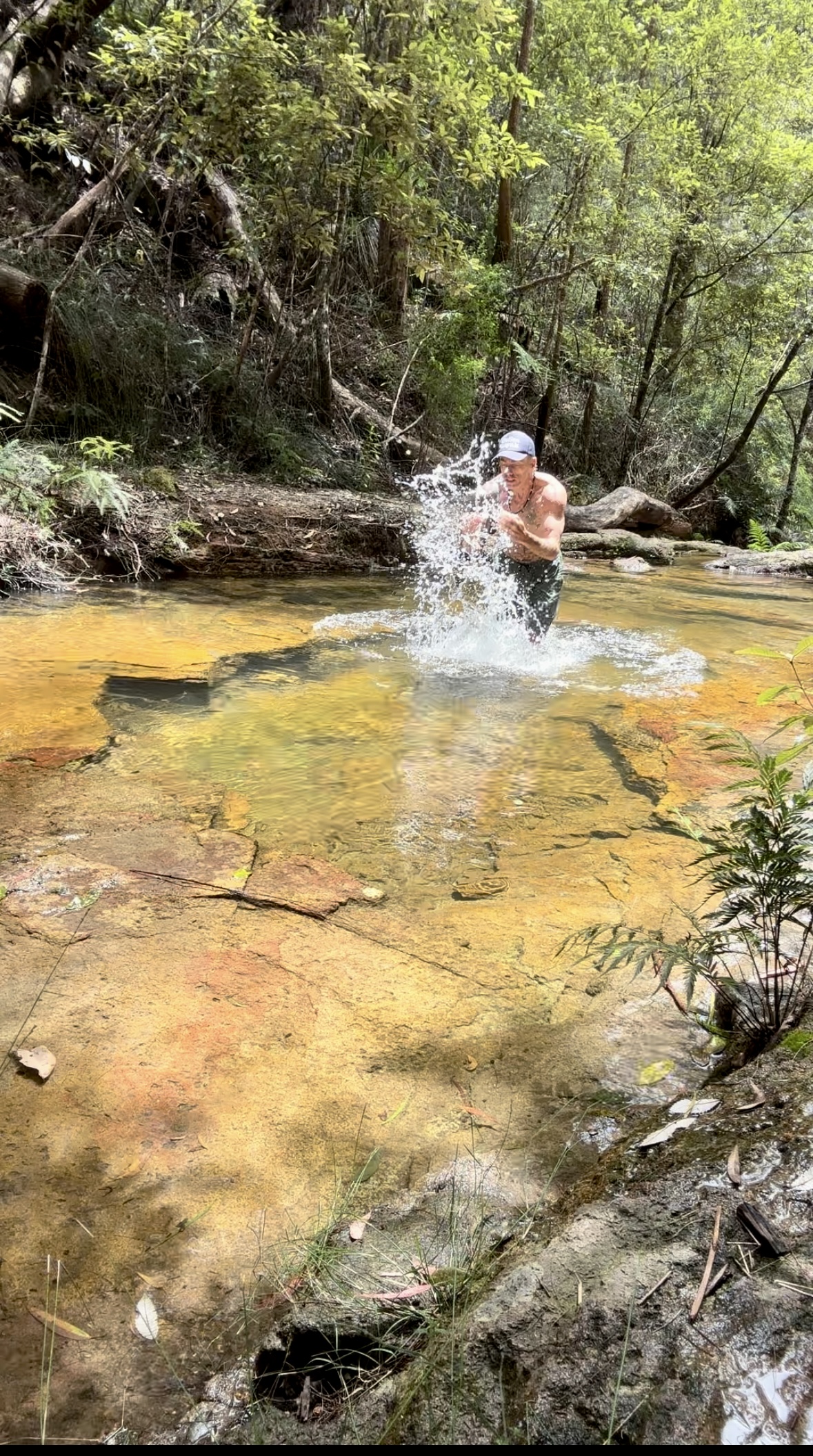 Kayak & Hike Eco-tour