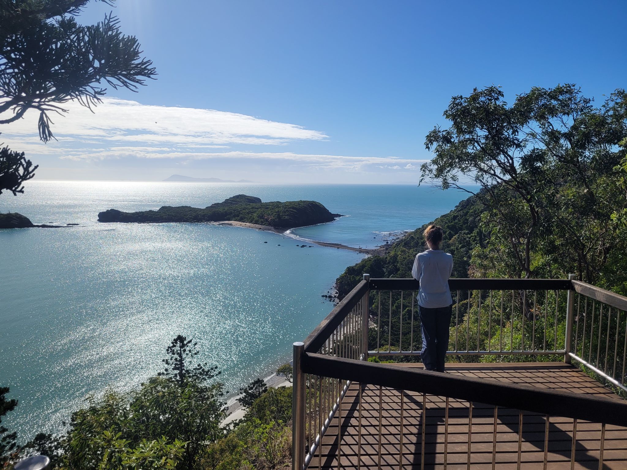 Kangaroos on the Beach Full-Day Private Tour Departing Mackay