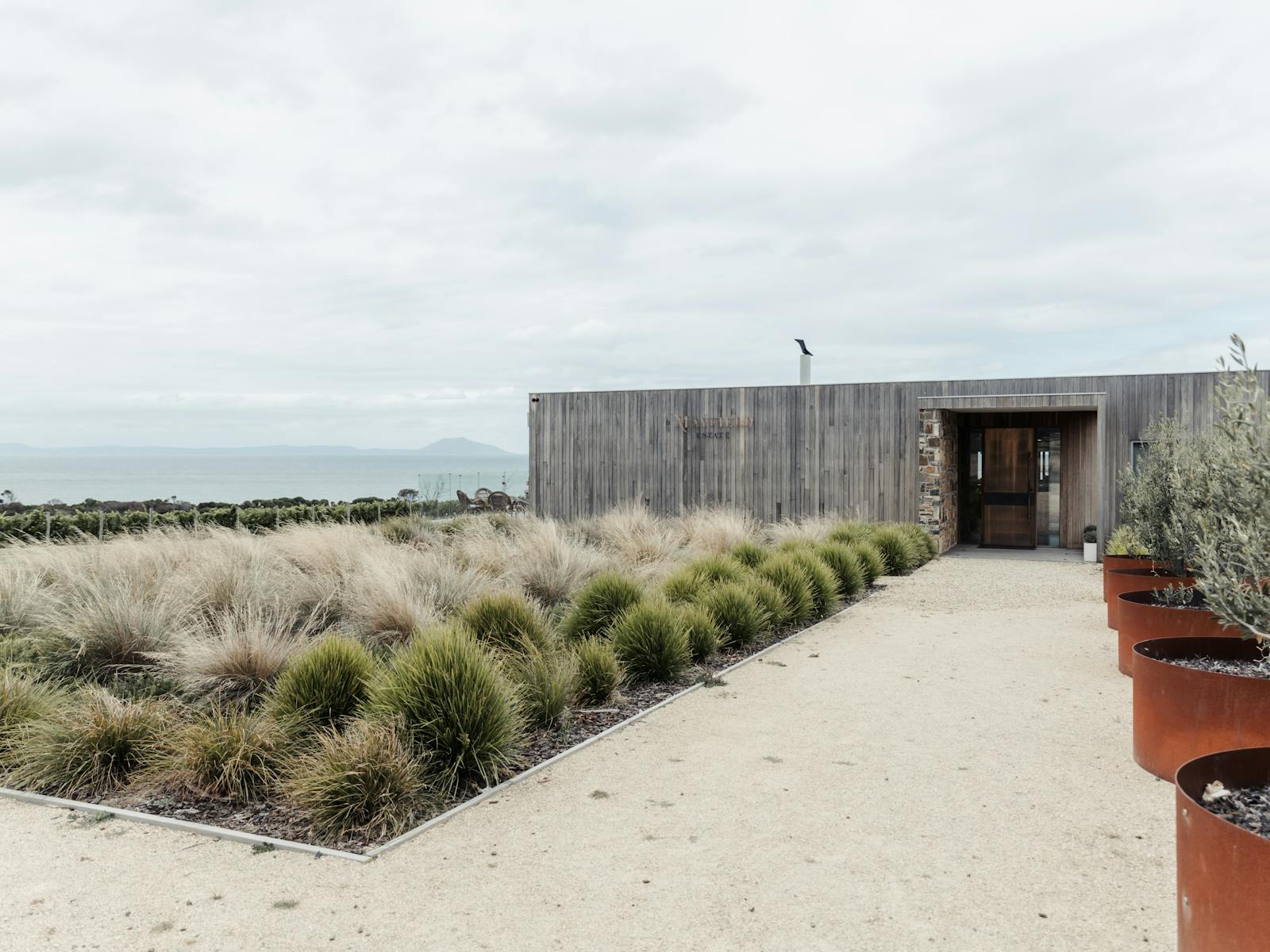 A HISTORICAL WINE TASTING - Gourmet Lunch Option