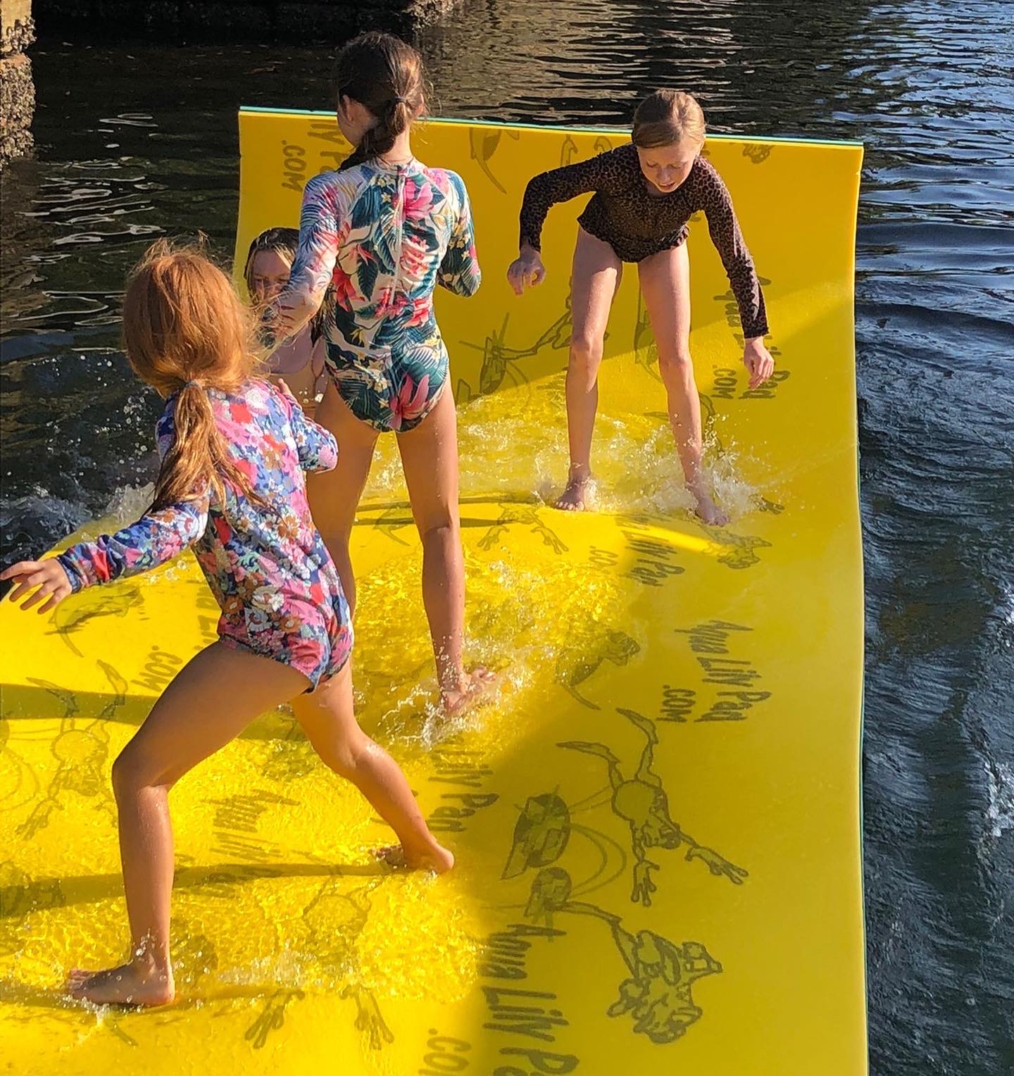 Cheeky Monkey Family, BBQ, Swim and Explore Harbour Tour