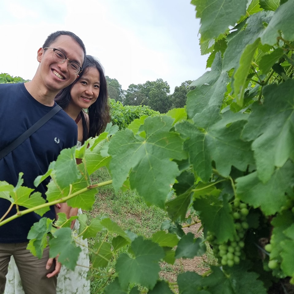 Private - Wine and Food Day from Sydney