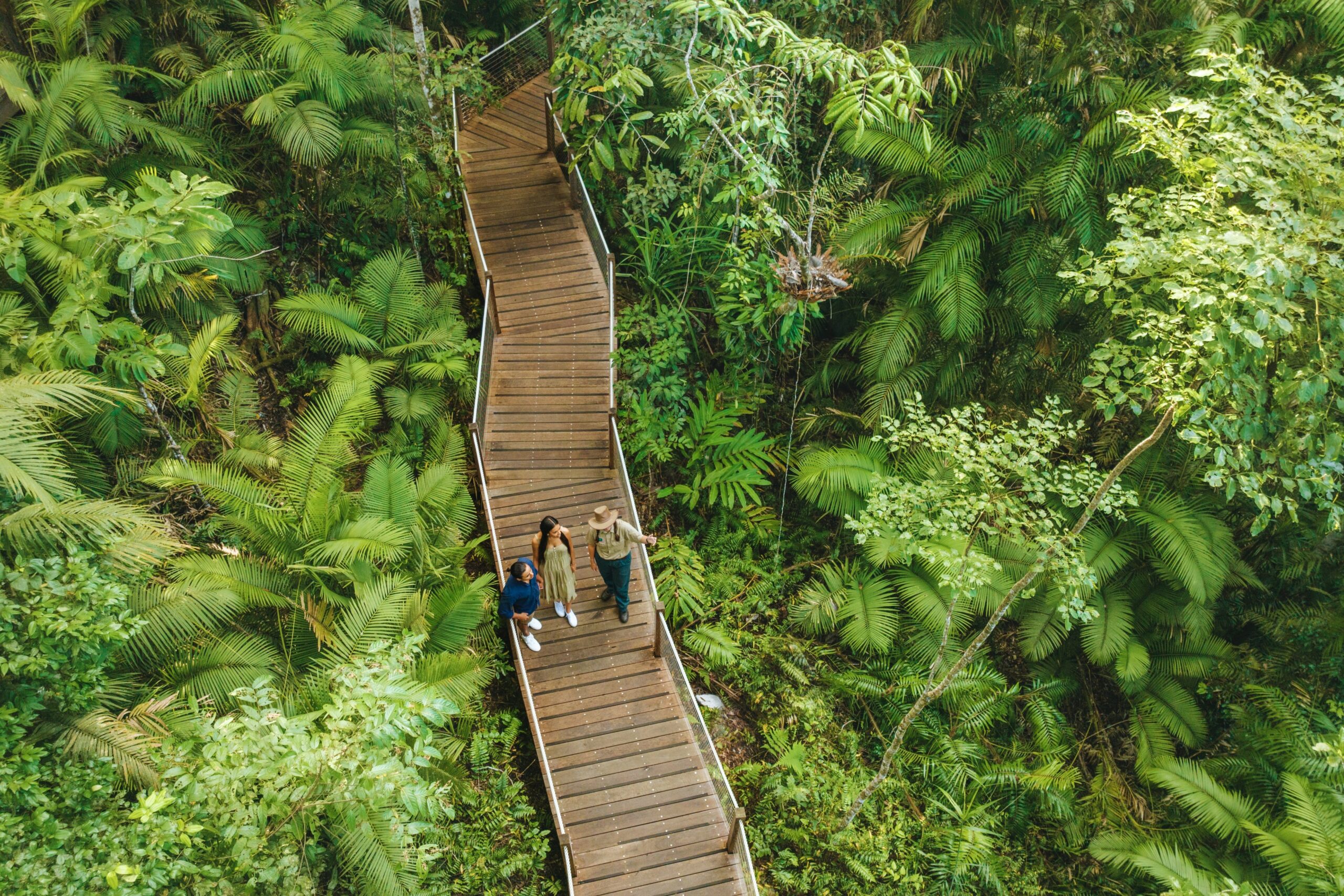 Autopia Tours: 3 Day Cairns to Daintree Cape Tribulation Port Douglas Comfort Tour (Private Double/Twin)