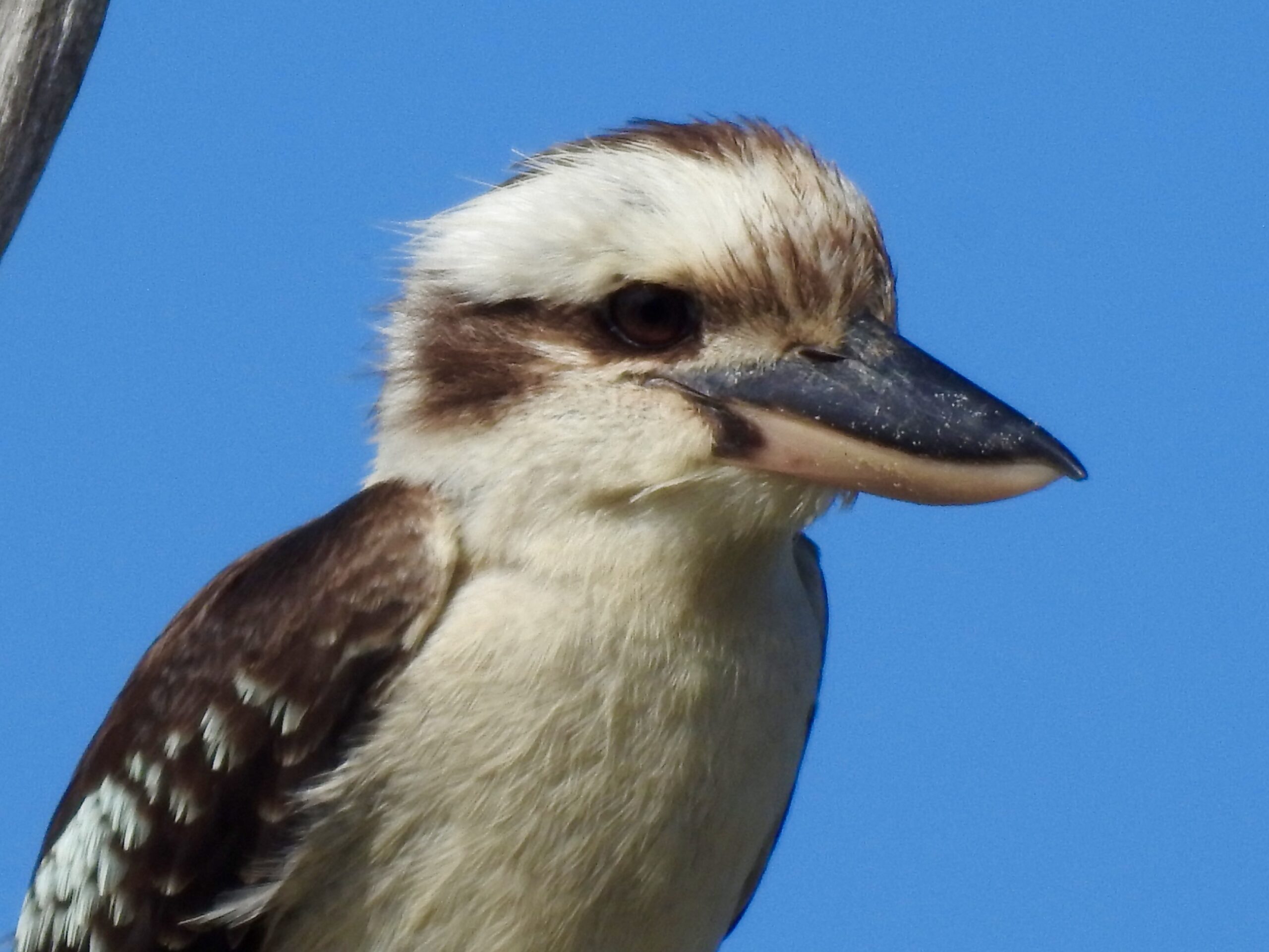 PRIVATE CUSTOM  GUIDED ECO-TOUR