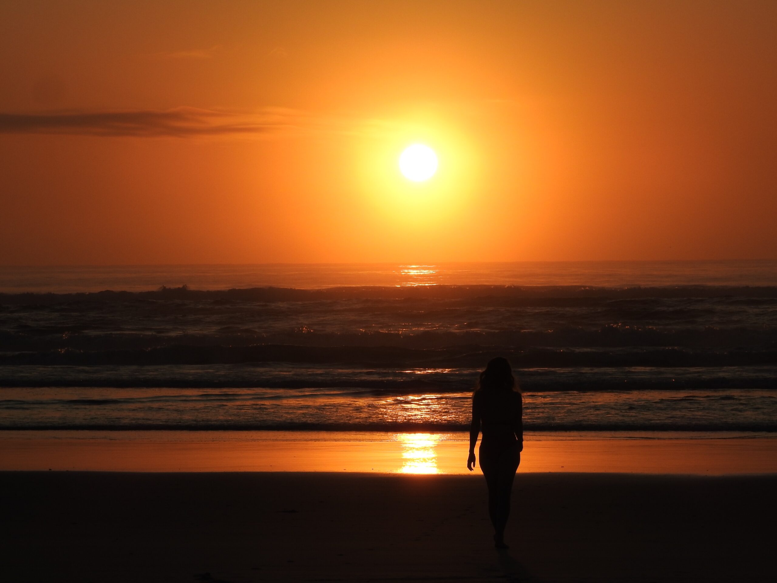 PRIVATE CUSTOM  GUIDED ECO-TOUR