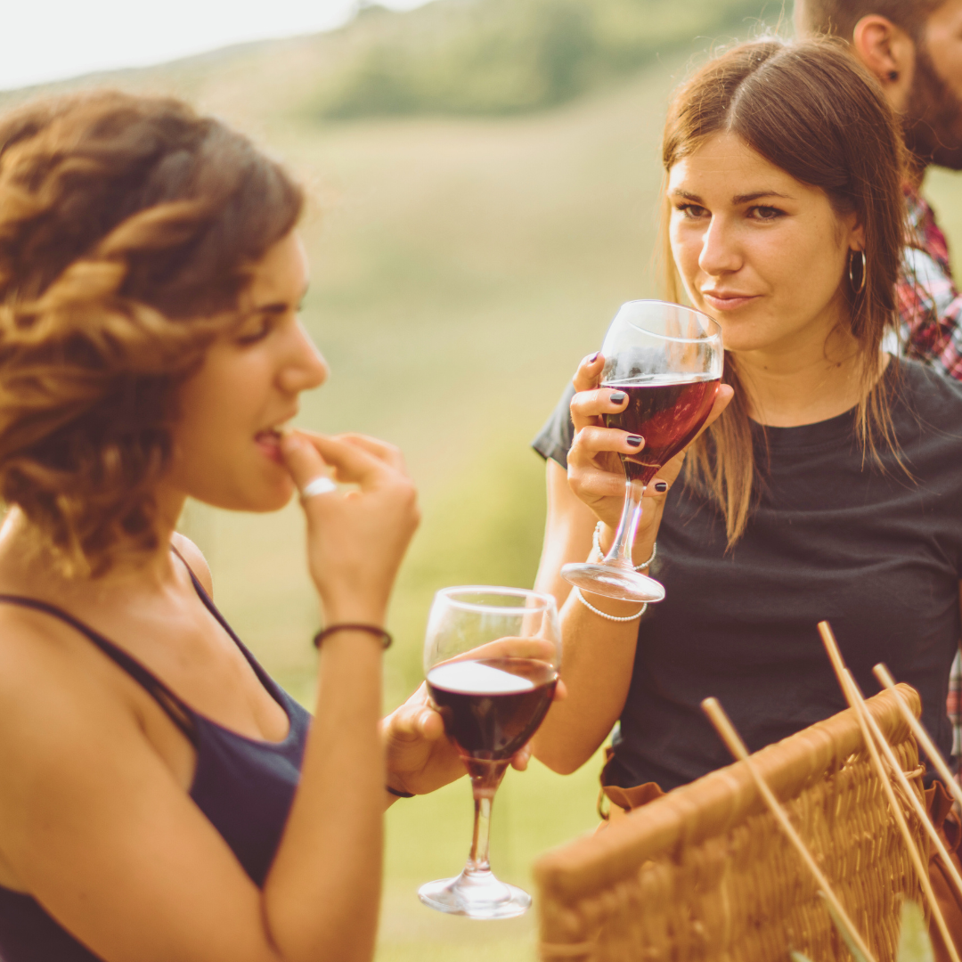 Scenic Rim Signature Camel Ride & Tasting