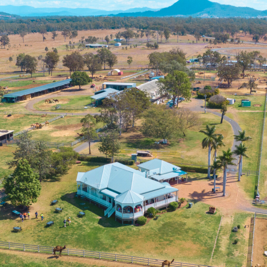 Scenic Rim Signature Camel Ride & Tasting
