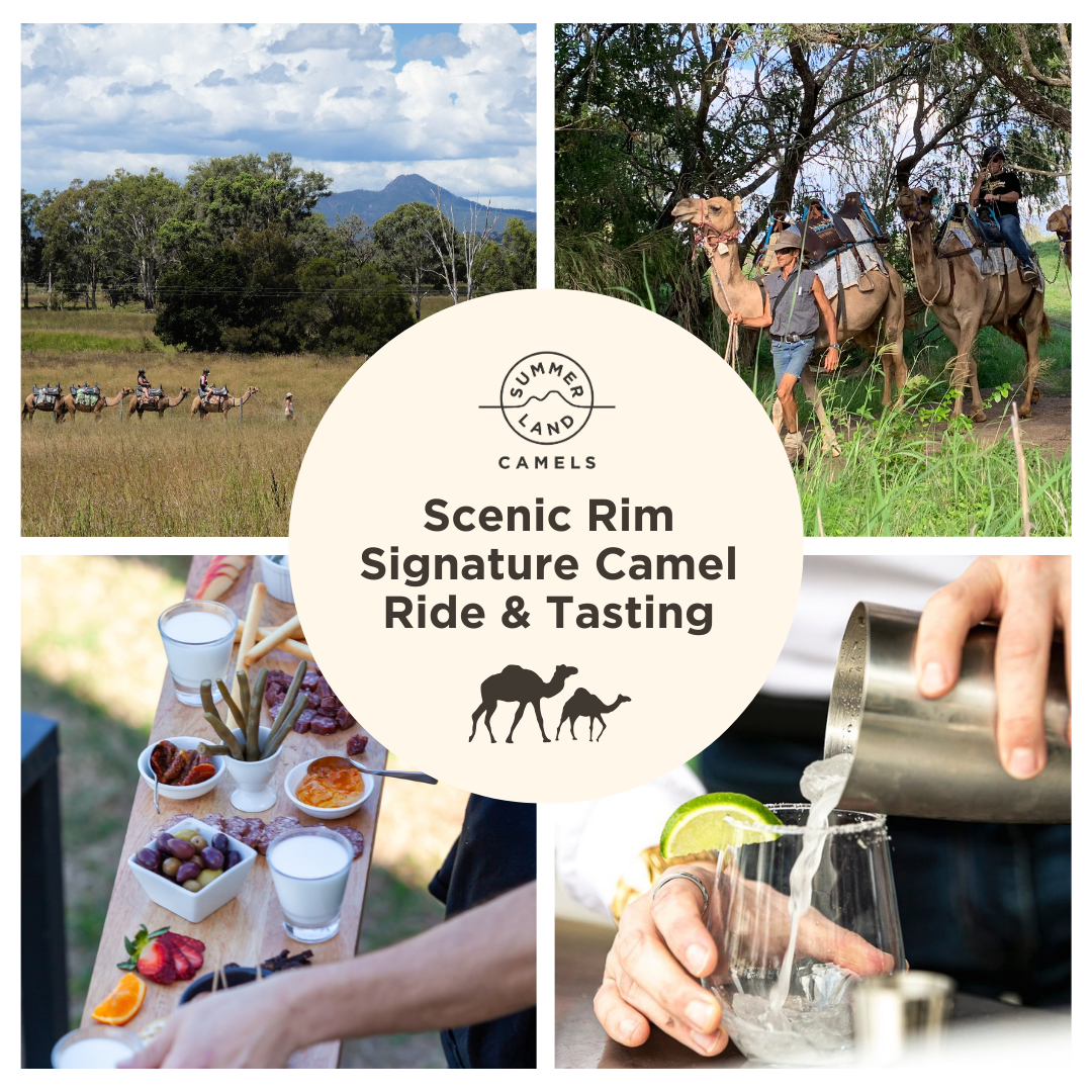 Scenic Rim Signature Camel Ride & Tasting