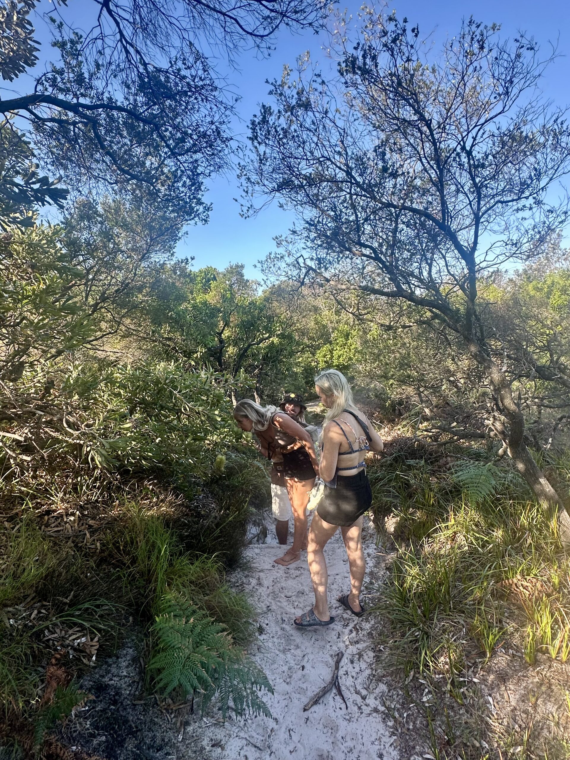 PRIVATE CUSTOM  GUIDED ECO-TOUR