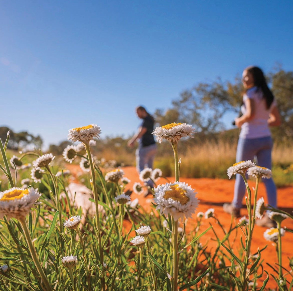 Alice Springs Desert Park - Day Pass - OTA
