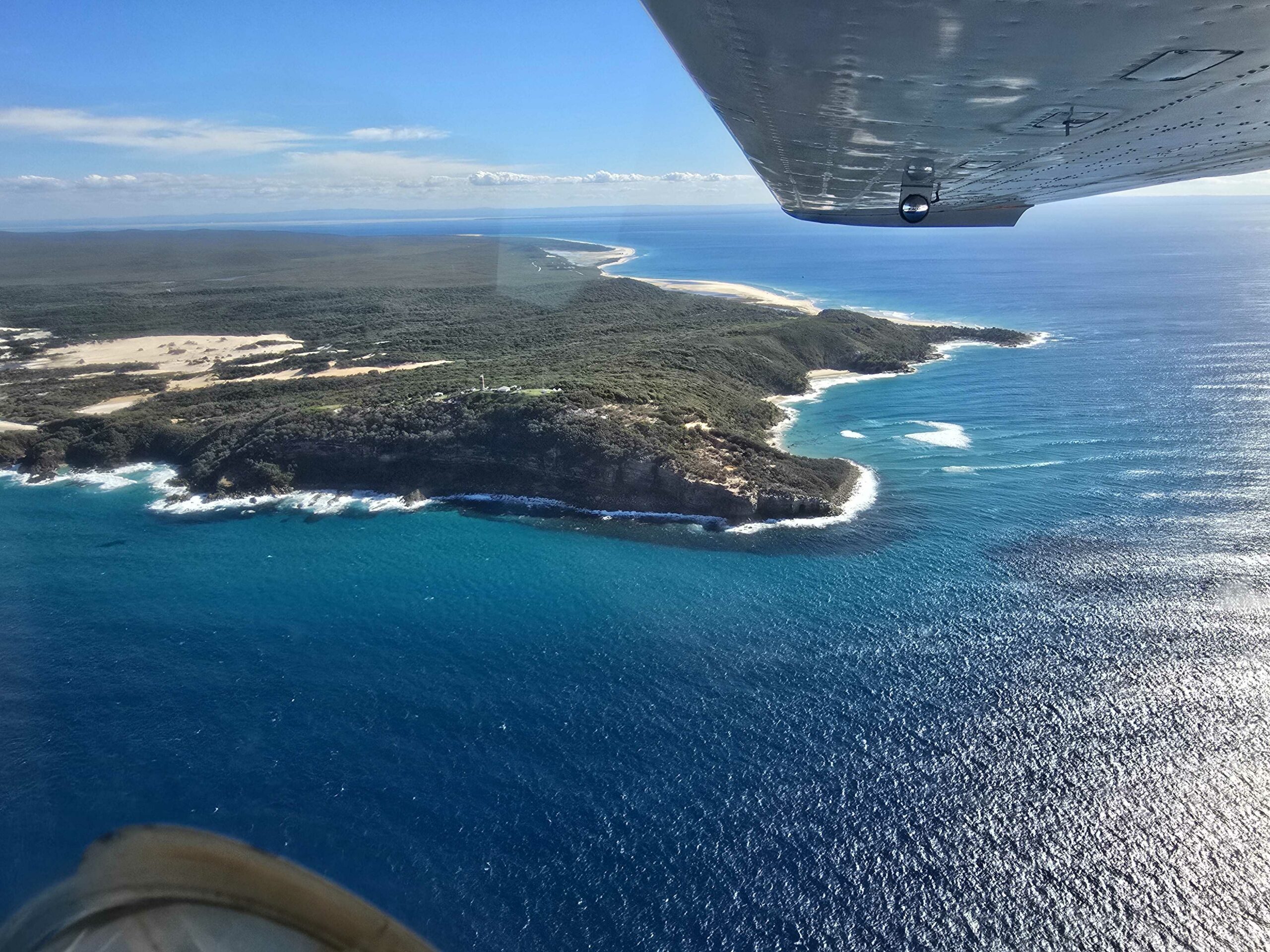 Moreton Island Whale Watching