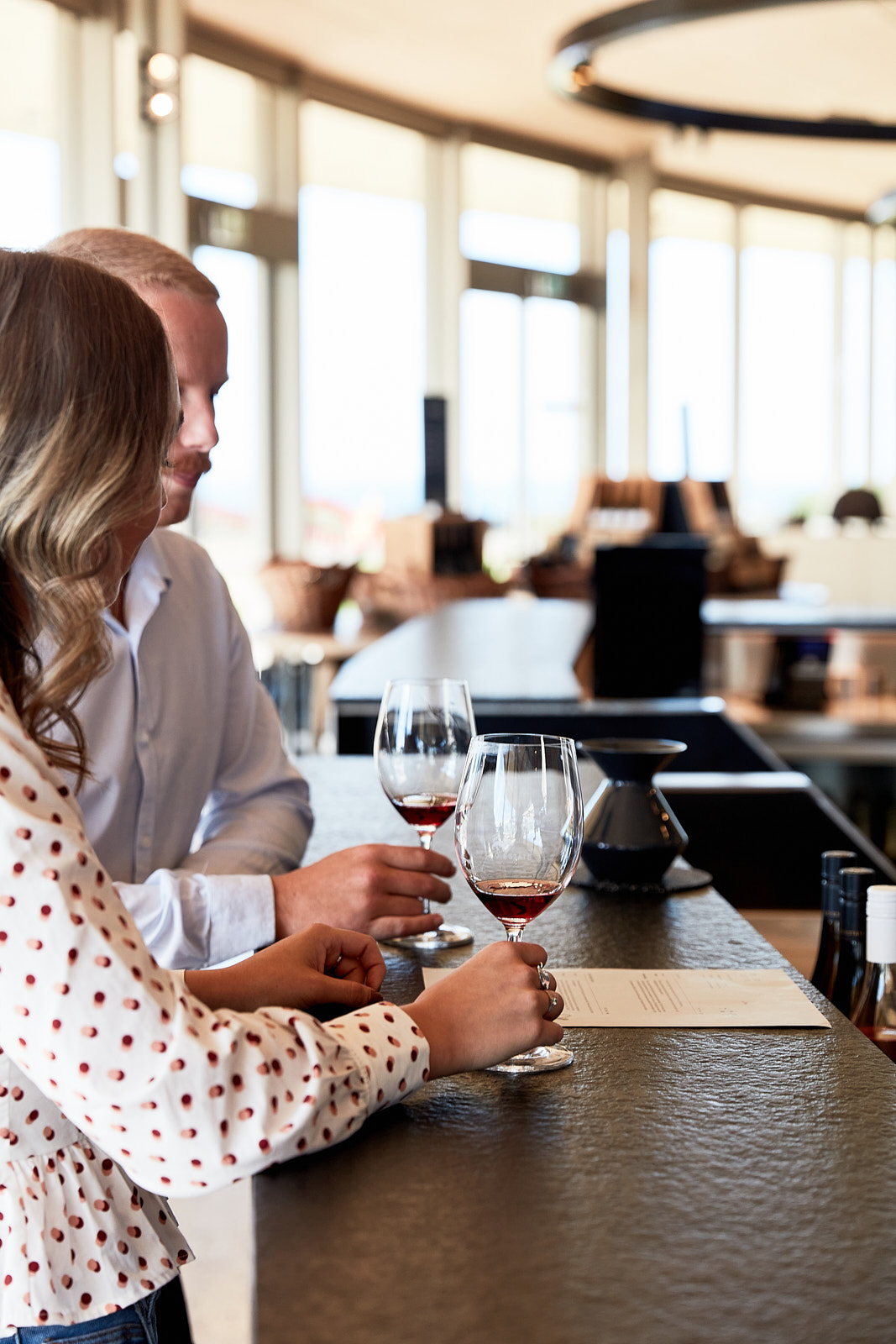 Sculpture Park Cultural Experience & Wine Tasting