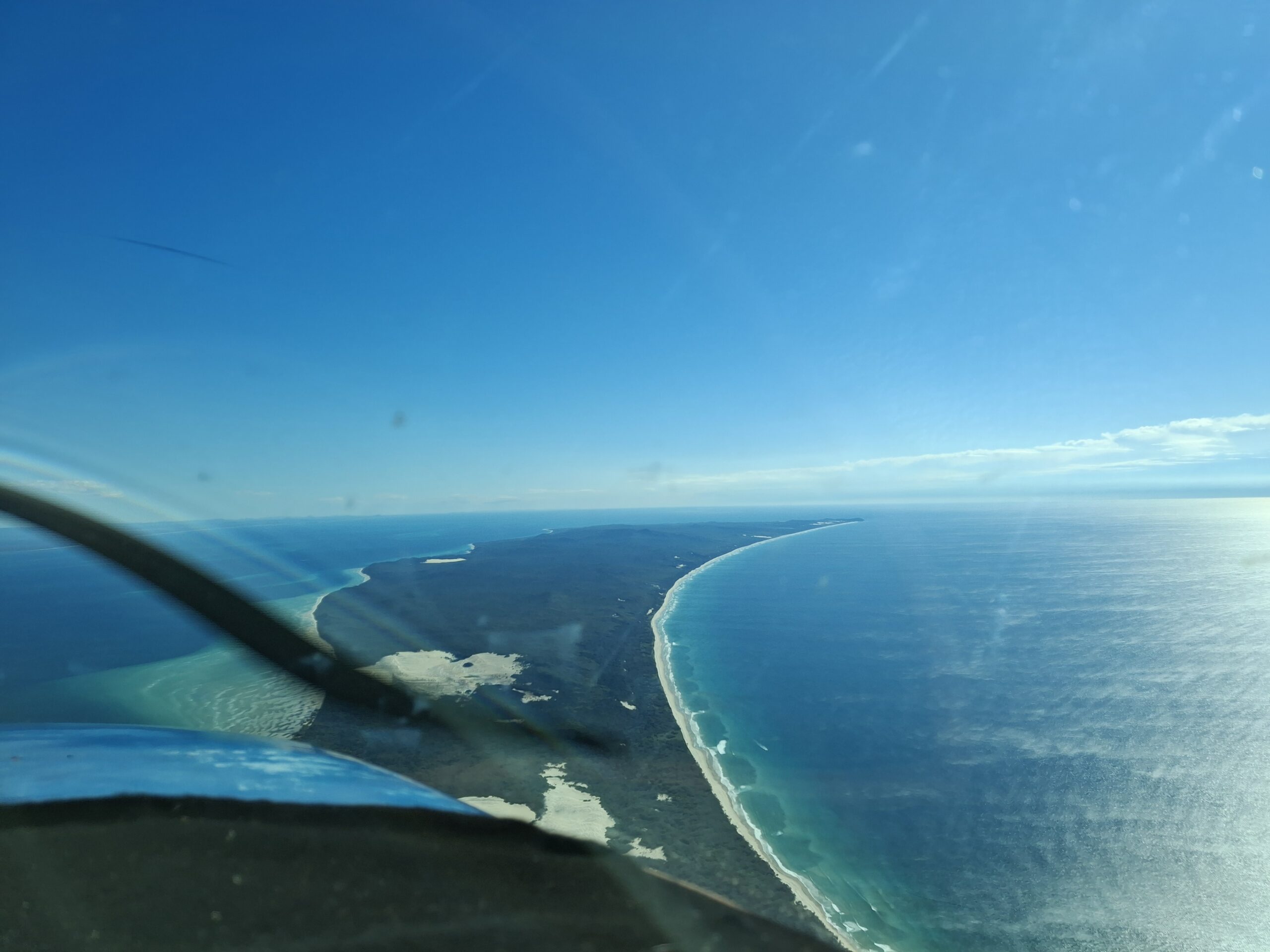 Moreton Island Whale Watching