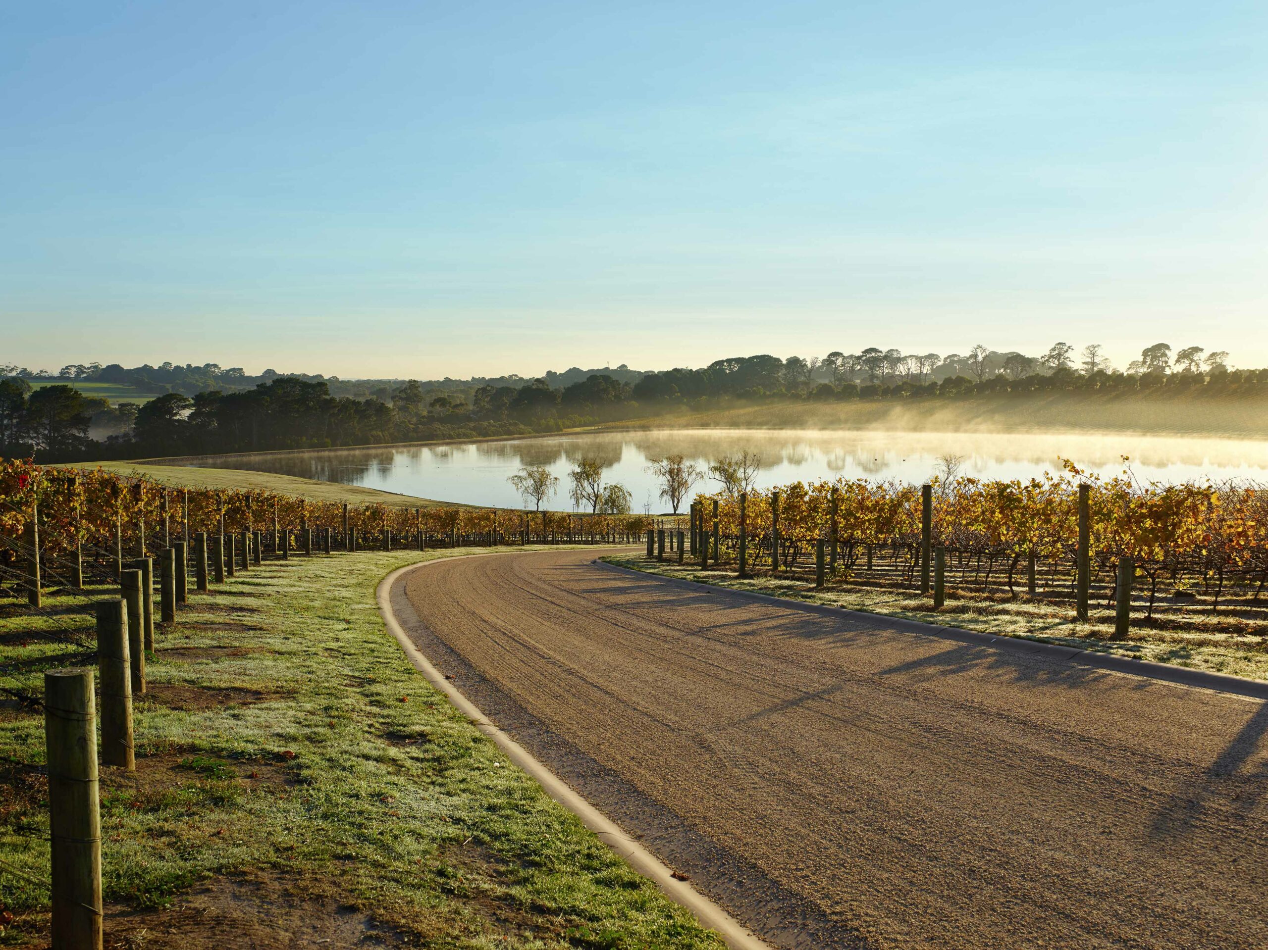 Pt. Leo Estate Vineyard & Wine Immersion