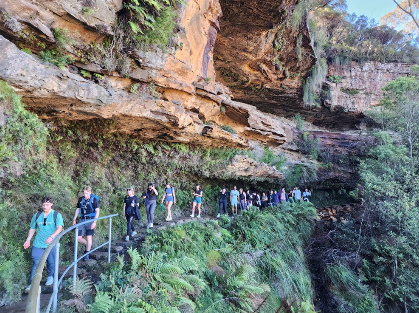 Blue Mountains Full Day Adventure with Waterfall Nature Walk | Lunch included