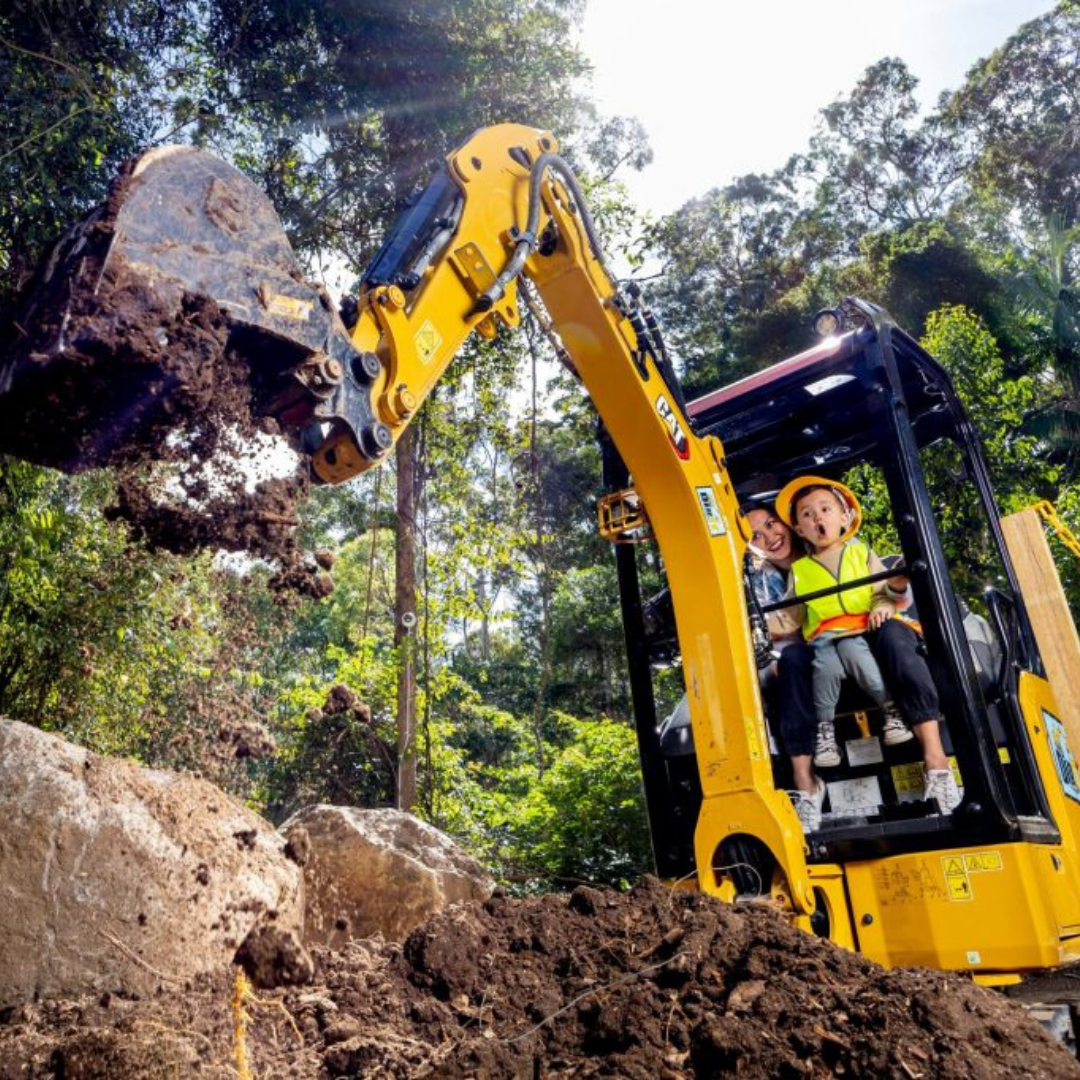 Private Rainforest Adventures, Thunderbird Fun & Local Flavours Tour (Gold Coast Departure, 1–3 Pax)