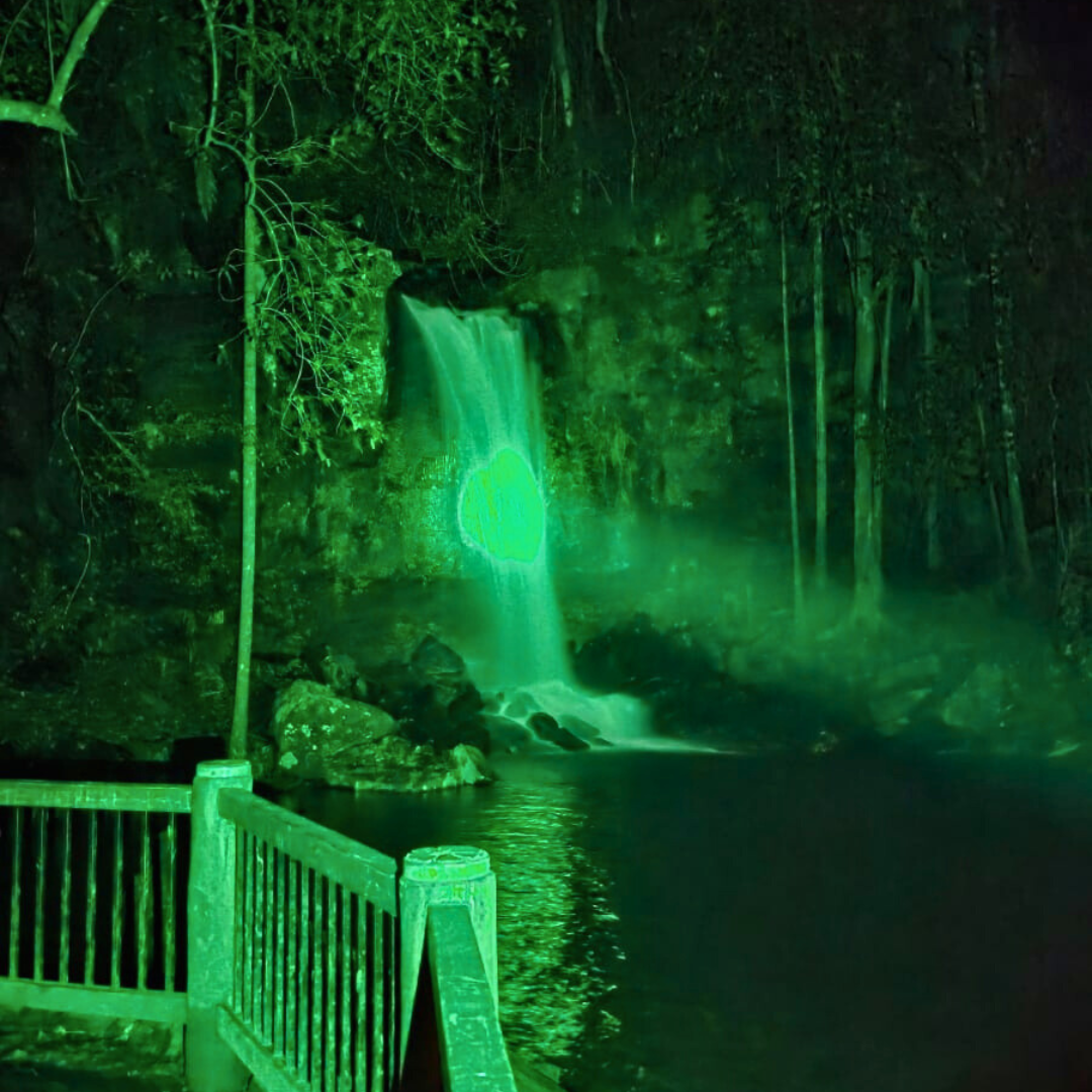 Glow Worm Evening Rainforest – Full Private Tour (4 to 7 Pax)