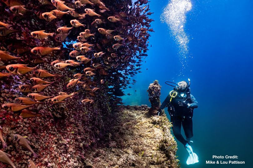 Combo Dive - Lena Wreck & 20 Meter Blades